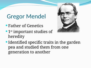 Gregor Mendel
 Father of Genetics
 1st
important studies of
heredity
 Identified specific traits in the garden
pea and studied them from one
generation to another
 