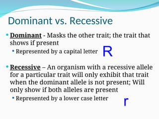 Dominant vs. Recessive
 Dominant - Masks the other trait; the trait that
shows if present
 Represented by a capital letter
 Recessive – An organism with a recessive allele
for a particular trait will only exhibit that trait
when the dominant allele is not present; Will
only show if both alleles are present
 Represented by a lower case letter
R
r
 