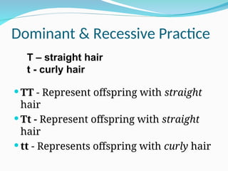 Dominant & Recessive Practice
 TT - Represent offspring with straight
hair
 Tt - Represent offspring with straight
hair
 tt - Represents offspring with curly hair
T – straight hair
t - curly hair
 