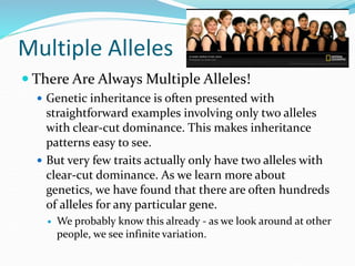 Multiple Alleles
 There Are Always Multiple Alleles!
 Genetic inheritance is often presented with
straightforward examples involving only two alleles
with clear-cut dominance. This makes inheritance
patterns easy to see.
 But very few traits actually only have two alleles with
clear-cut dominance. As we learn more about
genetics, we have found that there are often hundreds
of alleles for any particular gene.
 We probably know this already - as we look around at other
people, we see infinite variation.
 
