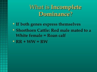 What is Incomplete
Dominance?
• If both genes express themselves
• Shorthorn Cattle: Red male mated to a
White female = Roan calf
• RR + WW = RW

 