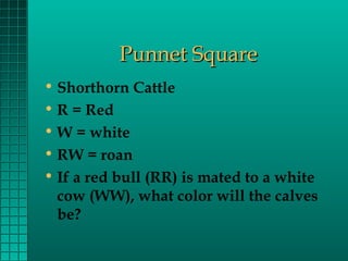 Punnet Square
• Shorthorn Cattle
• R = Red
• W = white
• RW = roan
• If a red bull (RR) is mated to a white
cow (WW), what color will the calves
be?

 