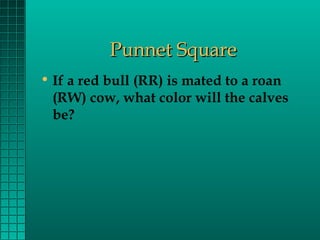 Punnet Square
• If a red bull (RR) is mated to a roan
(RW) cow, what color will the calves
be?

 