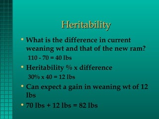 Heritability
• What is the difference in current
weaning wt and that of the new ram?
110 - 70 = 40 lbs

• Heritability % x difference
30% x 40 = 12 lbs

• Can expect a gain in weaning wt of 12
lbs
• 70 lbs + 12 lbs = 82 lbs

 