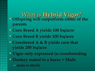What is Hybrid Vigor?

• Offspring will outperform either of the
parents
• Corn Breed A yields 100 bu/acre
• Corn Breed B yields 100 bu/acre
• Crossbreed A & B yields corn that
yields 200 bu/acre
• Vigor only expressed in crossbreeding
• Donkey mated to a horse = Mule
– mule is sterile

 