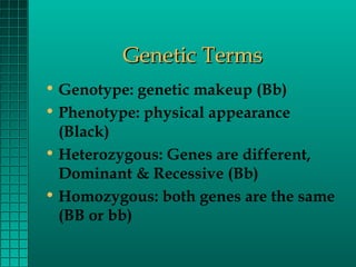 Genetic Terms
• Genotype: genetic makeup (Bb)
• Phenotype: physical appearance
(Black)
• Heterozygous: Genes are different,
Dominant & Recessive (Bb)
• Homozygous: both genes are the same
(BB or bb)

 