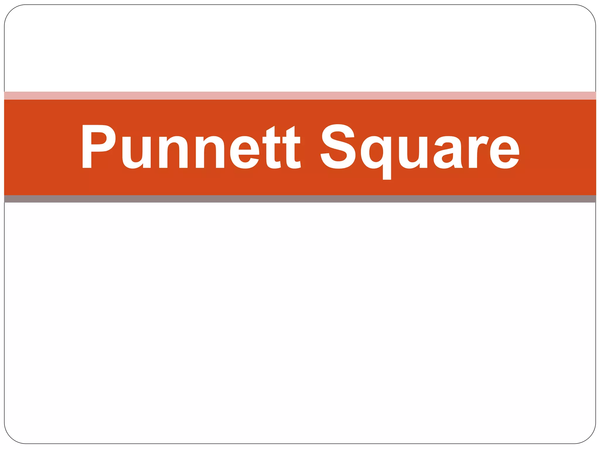Punnett Square
