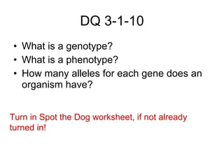 DQ 3-1-10 ,[object Object],[object Object],[object Object],Turn in Spot the Dog worksheet, if not already turned in! 