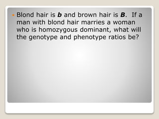  Blond hair is b and brown hair is B. If a
man with blond hair marries a woman
who is homozygous dominant, what will
the genotype and phenotype ratios be?
 