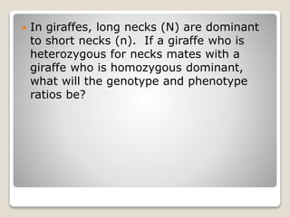  In giraffes, long necks (N) are dominant
to short necks (n). If a giraffe who is
heterozygous for necks mates with a
giraffe who is homozygous dominant,
what will the genotype and phenotype
ratios be?
 