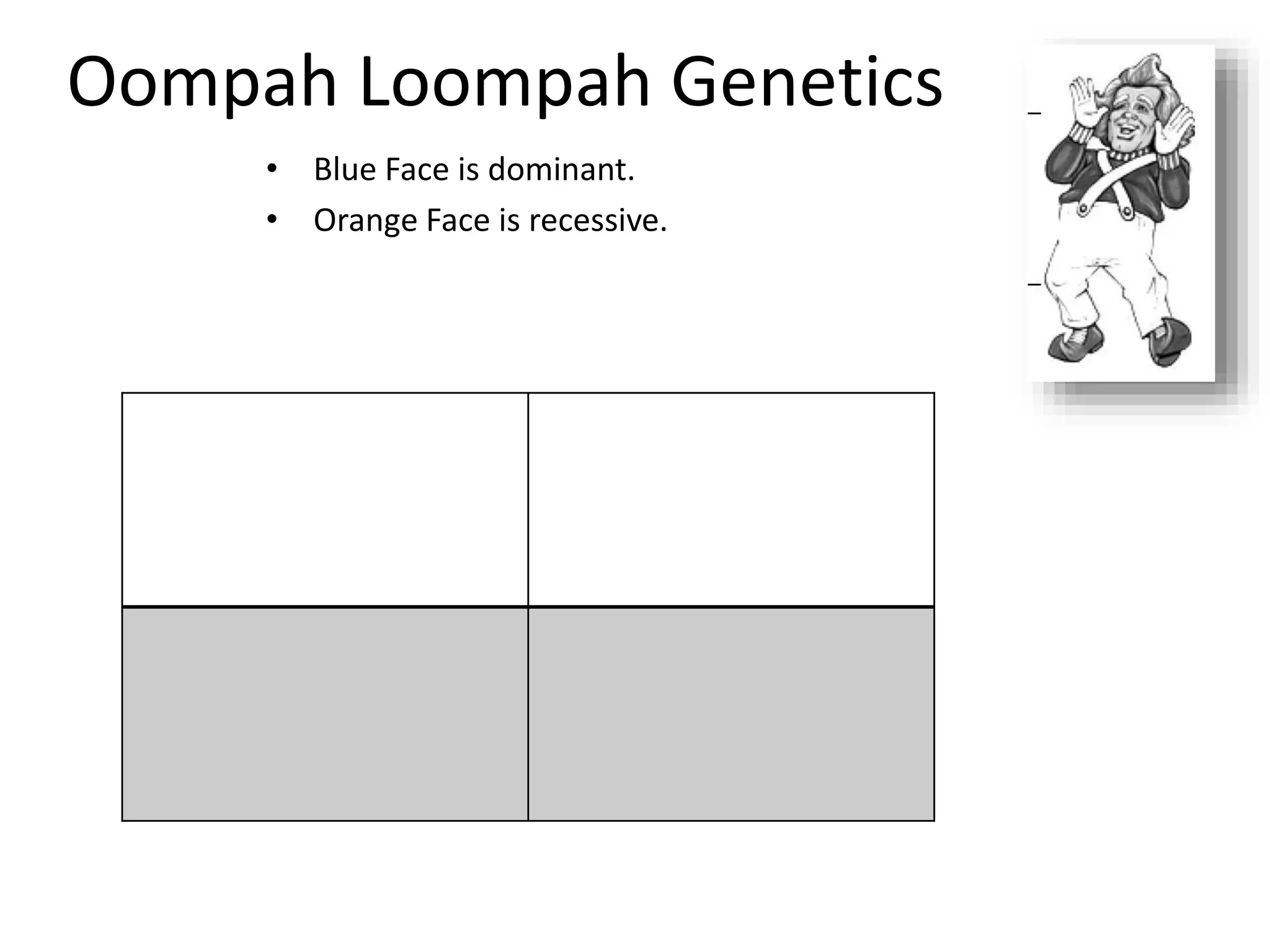 Oompah Loompah Genetics
• Blue Face is dominant.
• Orange Face is recessive.
 