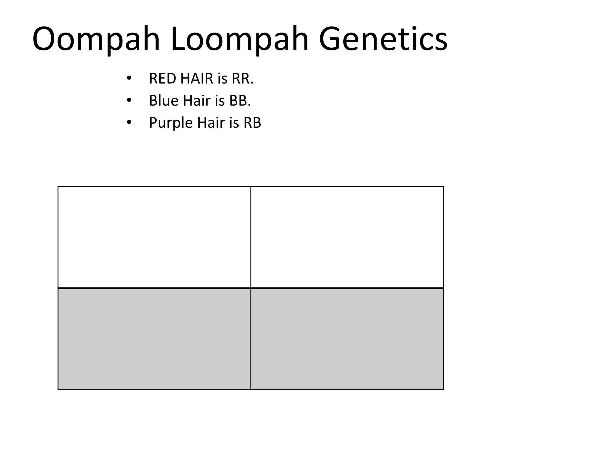 Oompah Loompah Genetics
• RED HAIR is RR.
• Blue Hair is BB.
• Purple Hair is RB
 