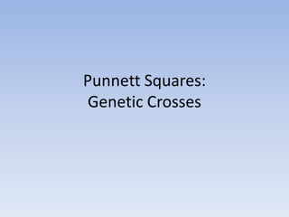 Punnett Squares:
Genetic Crosses
 
