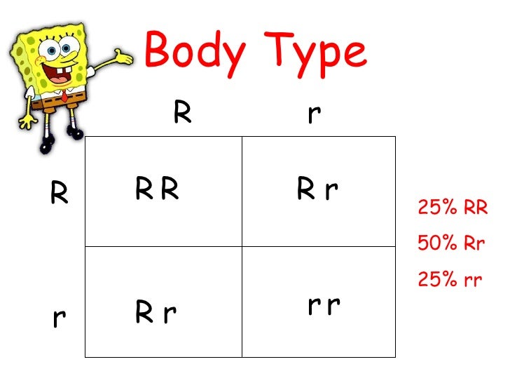 Punnett squares 9 4