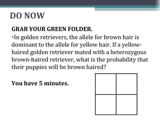DO NOW
GRAB YOUR GREEN FOLDER.
•In golden retrievers, the allele for brown hair is
dominant to the allele for yellow hair. If a yellow-
haired golden retriever mated with a heterozygous
brown-haired retriever, what is the probability that
their puppies will be brown haired?

You have 5 minutes.
 