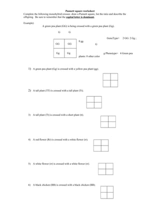 Monohybrid crosses practice worksheet answer key