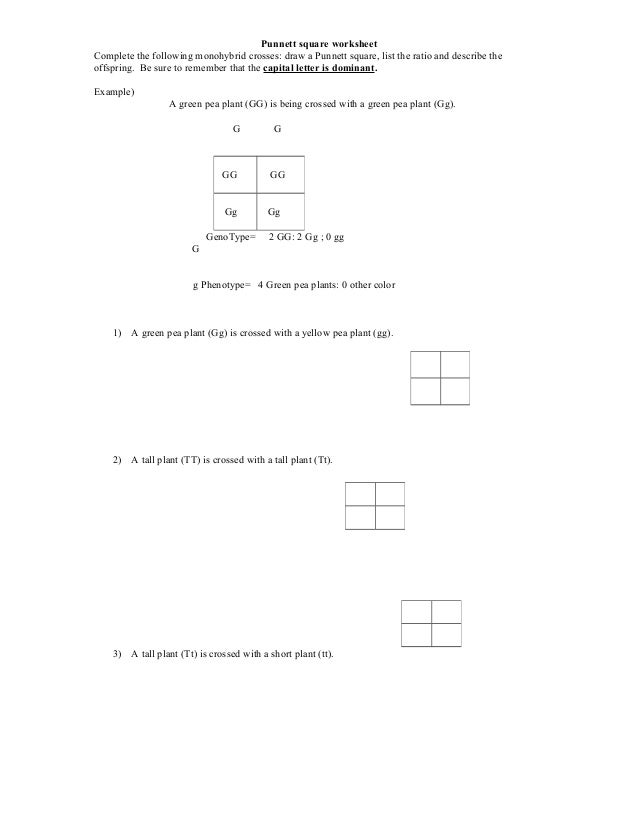 Worksheets Punnett Square Worksheet punnett square worksheet complete the following monohybrid crosses draw a square