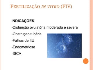 FERTILIZAÇÃO IN VITRO (FIV)


INDICAÇÕES:
-Disfunção ovulatória moderada e severa
-Obstruçao tubária
-Falhas de IIU
-Endometriose
-ISCA
 