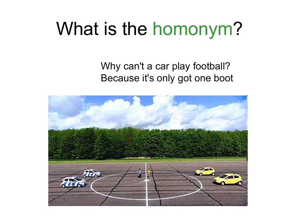 Puns Homophones and Homonyms