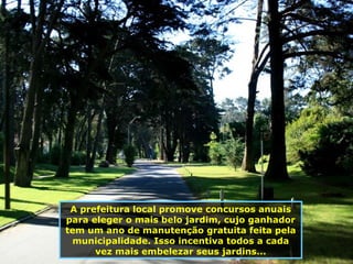 A prefeitura local promove concursos anuais para eleger o mais belo jardim, cujo ganhador tem um ano de manutenção gratuita feita pela municipalidade. Isso incentiva todos a cada vez mais embelezar seus jardins... 