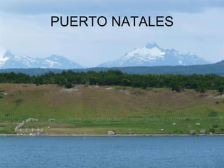 PUERTO NATALES 