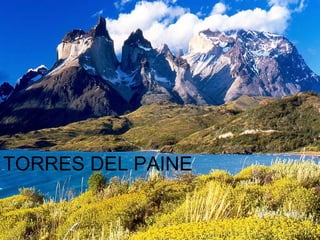 TORRES DEL PAINE 