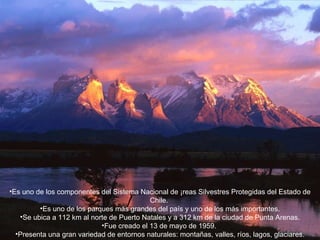 Es uno de los componentes del Sistema Nacional de Áreas Silvestres Protegidas del Estado de Chile.  Es uno de los parques más grandes del país y uno de los más importantes. Se ubica a 112 km al norte de Puerto Natales y a 312 km de la ciudad de Punta Arenas. Fue creado el 13 de mayo de 1959.  Presenta una gran variedad de entornos naturales: montañas, valles, ríos, lagos, glaciares. 