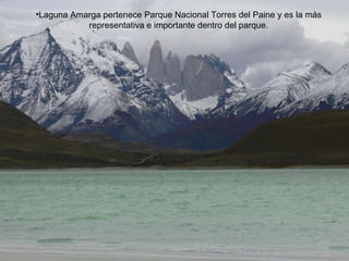 Laguna Amarga pertenece Parque Nacional Torres del Paine y es la más representativa e importante dentro del parque. 