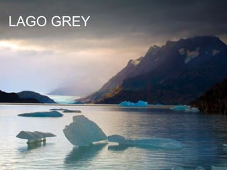LAGO GREY 