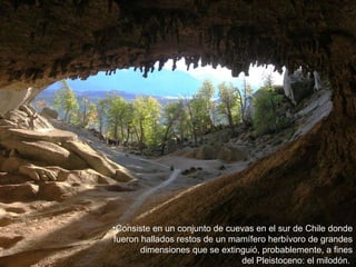Consiste en un conjunto de cuevas en el sur de Chile donde fueron hallados restos de un mamífero herbívoro de grandes dimensiones que se extinguió, probablemente, a fines del Pleistoceno: el milodón.  