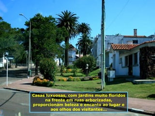 Casas luxuosas, com jardins muito floridos na frente em ruas arborizadas, proporcionam beleza e encanto ao lugar e aos olhos dos visitantes... 
