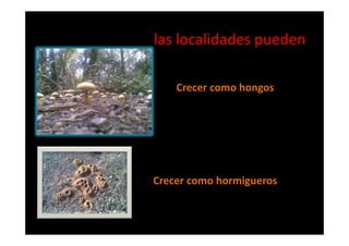 las localidades pueden

    Crecer como hongos




Crecer como hormigueros
 