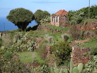 Puntagorda   la palma