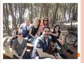 Punta in alto