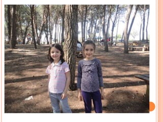 Punta in alto