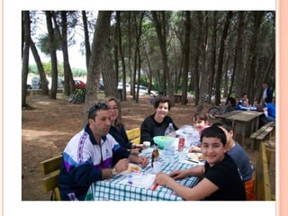 Punta in alto