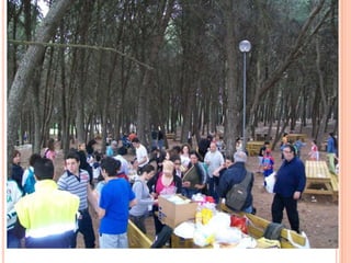 Punta in alto