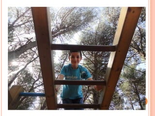 Punta in alto