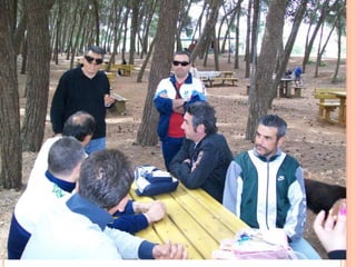 Punta in alto