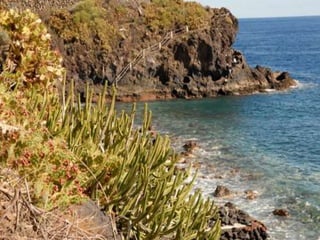 Puntallana   la palma