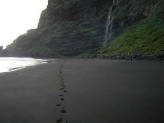 Puntallana   la palma