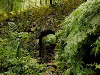 Puntallana   la palma