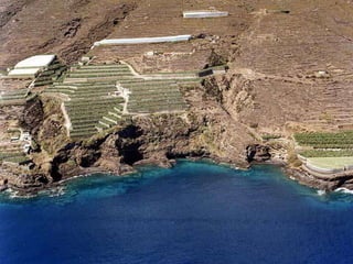 Puntallana   la palma