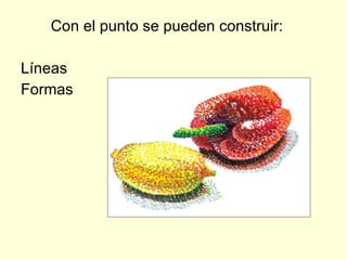 Con el punto se pueden construir: Líneas 