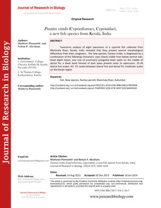 Article Citation:
Mathews Plamoottil and Nelson P. Abraham.
Puntius viridis (Cypriniformes, Cyprinidae), a new fish species from Kerala, India.
Journal of Research in Biology (2013) 3(7): 1093-1104
JournalofResearchinBiology
Puntius viridis (Cypriniformes, Cyprinidae),
a new fish species from Kerala, India
Keywords:
Fish, New species, Puntius parrah, Manimala River, Kallumkal.
ABSTRACT:
Taxonomic analysis of eight specimens of a cyprinid fish collected from
Manimala River, Kerala, India revealed that they present several morphological
differences from their congeners. The new species, Puntius viridis, is diagnosed by a
combination of the following characters: eyes clearly visible from below ventral side;
head depth lesser; one row of prominent elongated black spots on the middle of
dorsal fin; a black band formed of dark spots present outer to operculum. 25-26
lateral line scales; 4½- 5½ scales between lateral line and dorsal fin; moderate scales
on the breast region
1093-1104| JRB | 2013 | Vol 3 | No 7
This article is governed by the Creative Commons Attribution License (http://creativecommons.org/
licenses/by/2.0), which gives permission for unrestricted use, non-commercial, distribution and
reproduction in all medium, provided the original work is properly cited.
www.jresearchbiology.com
Journal of Research in Biology
An International
Scientific Research Journal
Authors:
Mathews Plamoottil and
Nelson P. Abraham.
Institution:
1. Government College,
Chavara, Kollam Dt, Kerala.
Pin code: 691583.
2. St.Thomas College,
Kozhencherry, Kerala.
Corresponding author:
Mathews Plamoottil.
Email Id:
Web Address:
http://jresearchbiology.com/
documents/RA0376.pdf.
Dates:
Received: 14 Aug 2013 Accepted: 02 Dec 2013 Published: 18 Jan 2014
Journal of Research in Biology
An International Scientific Research Journal
Original Research
Print: 2231 –6280;
Online: 2231- 6299.ISSN No:
http://zoobank.org / urn:lsid:zoobank.org:pub:F091CFE1-4510-419E-89B4-EBE147BFD9D6
http://zoobank.org / urn:lsid:zoobank.org:act:7569C0D4-1236-473F-AE67-541C6A4C9A10
 