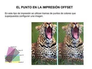 EL PUNTO EN LA IMPRESIÓN OFFSET
En este tipo de impresión se utilizan tramas de puntos de colores que
superpuestos configuran una imagen.
 