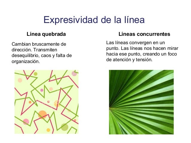 Líneas que crean volumen
 