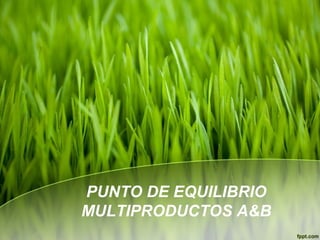 PUNTO DE EQUILIBRIO
MULTIPRODUCTOS A&B
 