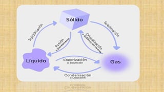 exposicion