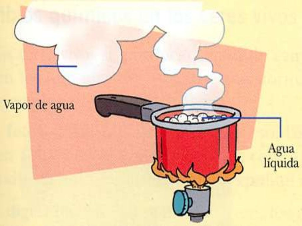 Punto de fusión y ebullición (1)